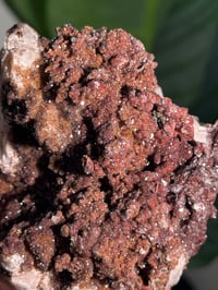 Image 5 of SUGAR DRUZY CHALCEDONY X MANGANESE -MOROCCO- K