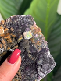 Image 6 of NATURAL RAINBOW IRIDESCENT CUBIC FLUORITE -CHINA- D