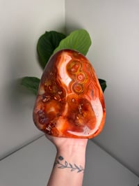 Image 1 of XXL BANDED CARNELIAN FREEFORM -MADAGASCAR- 