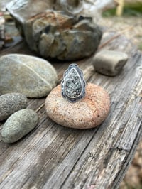 Image 4 of Variscite ring 