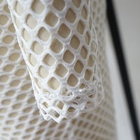 Image 3 of White Misty 