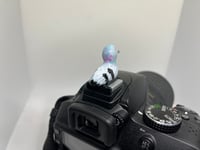 Image 2 of Rock Pigeon Hotshoe Cover