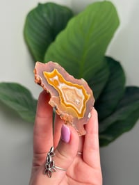 Image 2 of LAGUNA AGATE -MEXICO- B