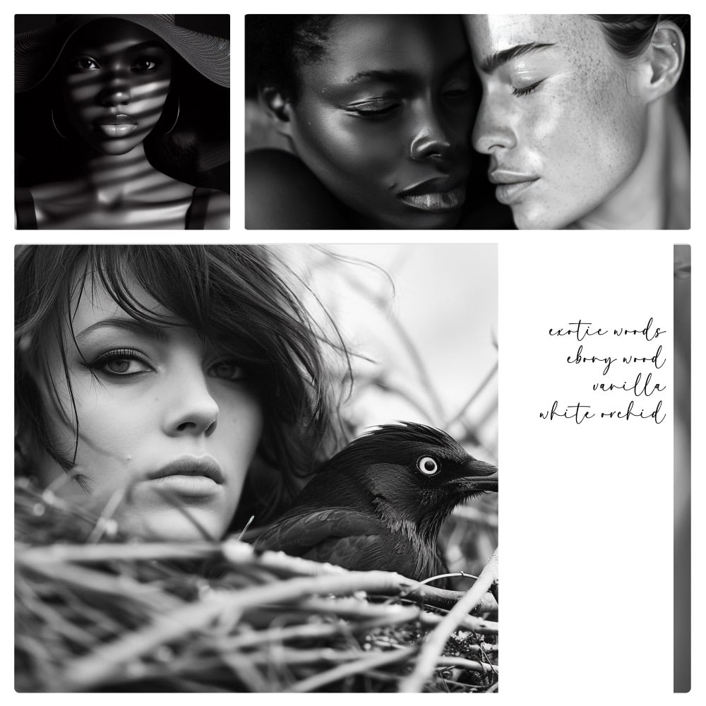 Image of Noir Blanc Women’s Perfume