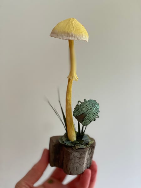 Image of Custom Yellow mushroom specimen for Sasha 