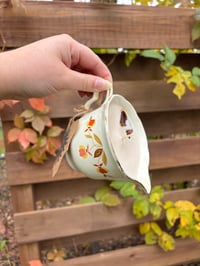 Image 1 of Warm Spice