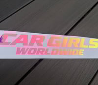 Image 5 of Oil Slick Worldwide Windshield Banner 