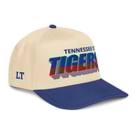 Image 1 of TSU MASCOT HAT
