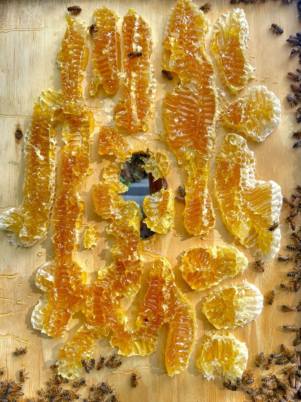 Image of 3oz Raw Honeycomb Jar