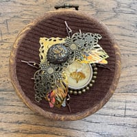 Image 3 of Dried flower beetle (b, 3.5  inches)