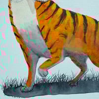 Image 3 of “Out, into the light”
