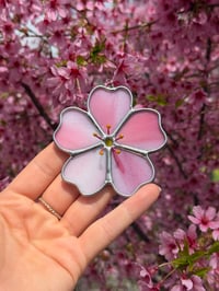 Image 2 of Cherry Blossom (Small)