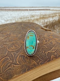 Image 1 of The Wild Mesa