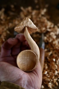 Image 1 of • Mushroom Coffee Scoop • 