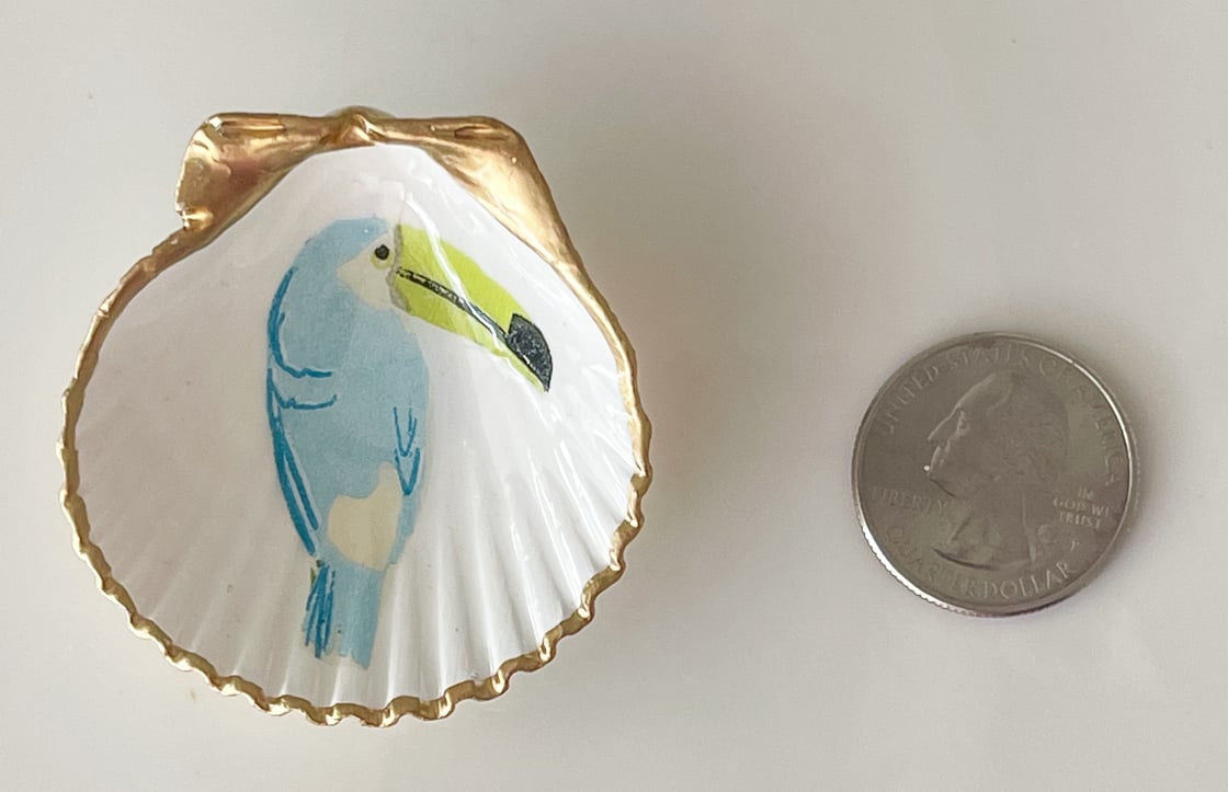 Image of Toucan Tina | Mini Trinket Shell
