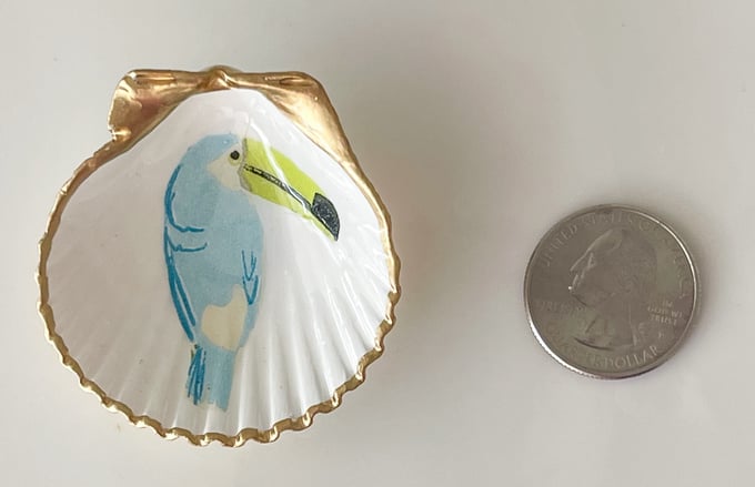 Image of Toucan Tina - Mini Trinket Shell 