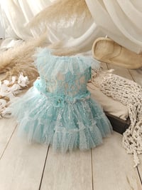 Image 1 of Sitter photo session dress Betsy | age 12-18 months | minty