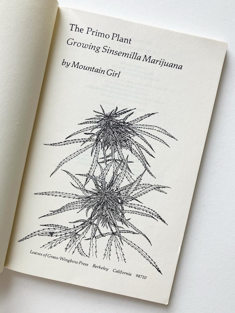 The Primo Plant: Growing Sinsemilla Marijuana Image 2