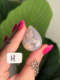 Image 8 of XL DRILLED FLOWER AGATE CABS