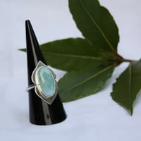 Image 2 of Shielded (Larimar)