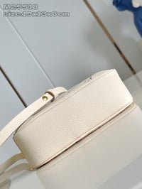 Image 9 of LV Empriente Camera Bag