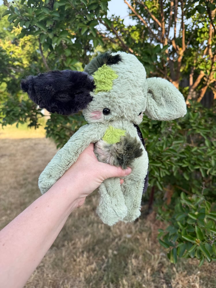 Image of moss collector