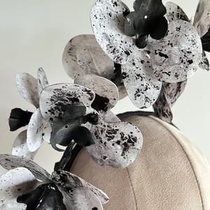 Image of Black n white orchids