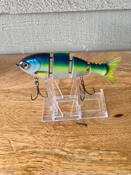 Image of Baby Bull Shad — Yellowfin Tuna