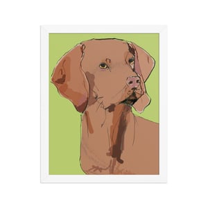 Image of VIZSLA FRAMED ART