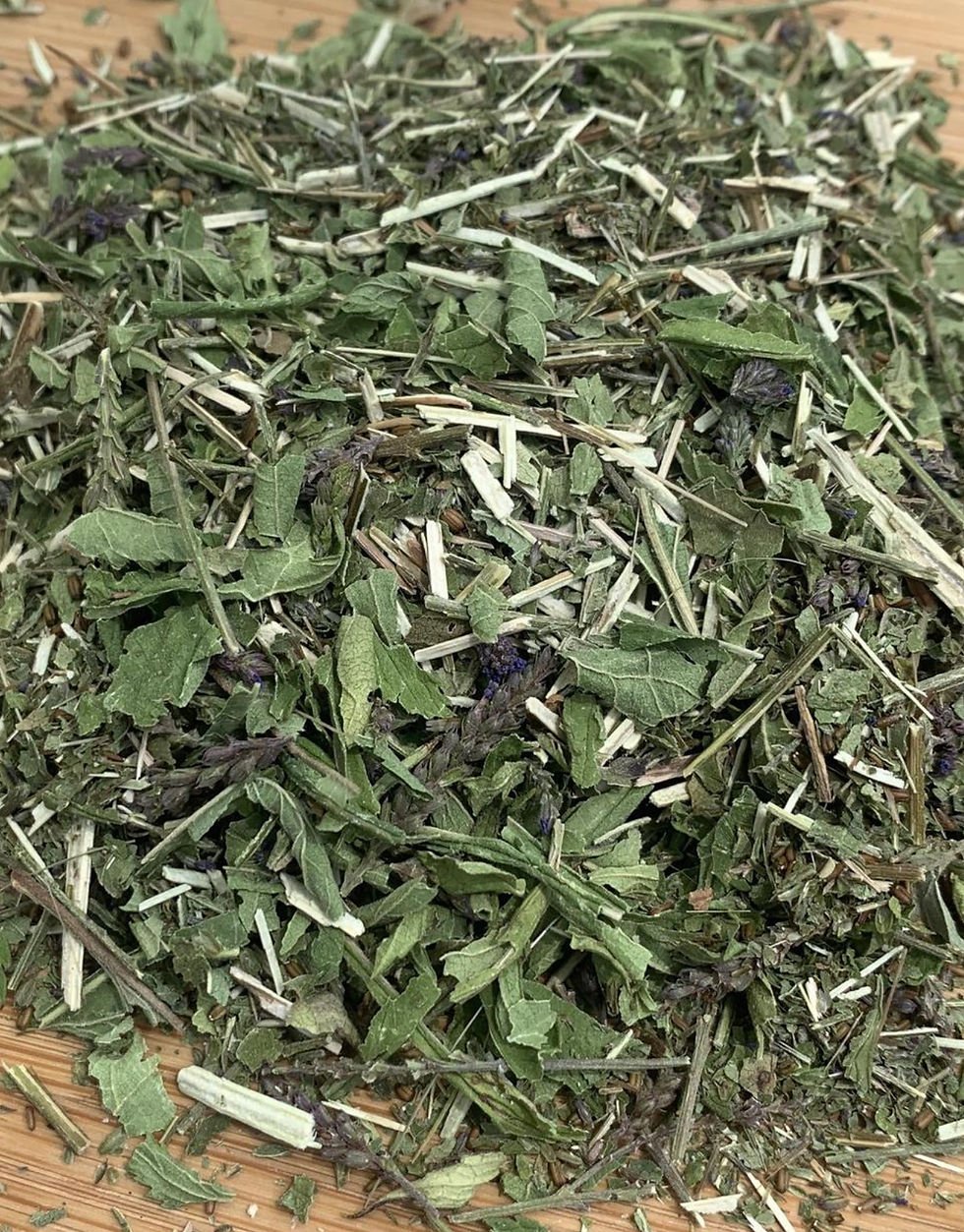 NERVine! Wild Jamaican Blue Vervain. Depression-Anxiety-Dopamine-Insomnia-Respiratory-Headaches.