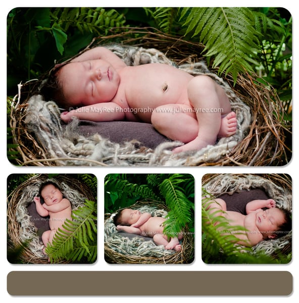Image of Organic Realistic Birds Nest Photo Prop-Material option A. 
