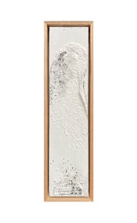 Image 1 of Ocean Series 66