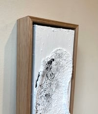 Image 4 of Ocean Series 66