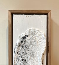 Image 5 of Ocean Series 66