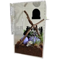 Image 3 of FHOS - Large Hides / Accessories 