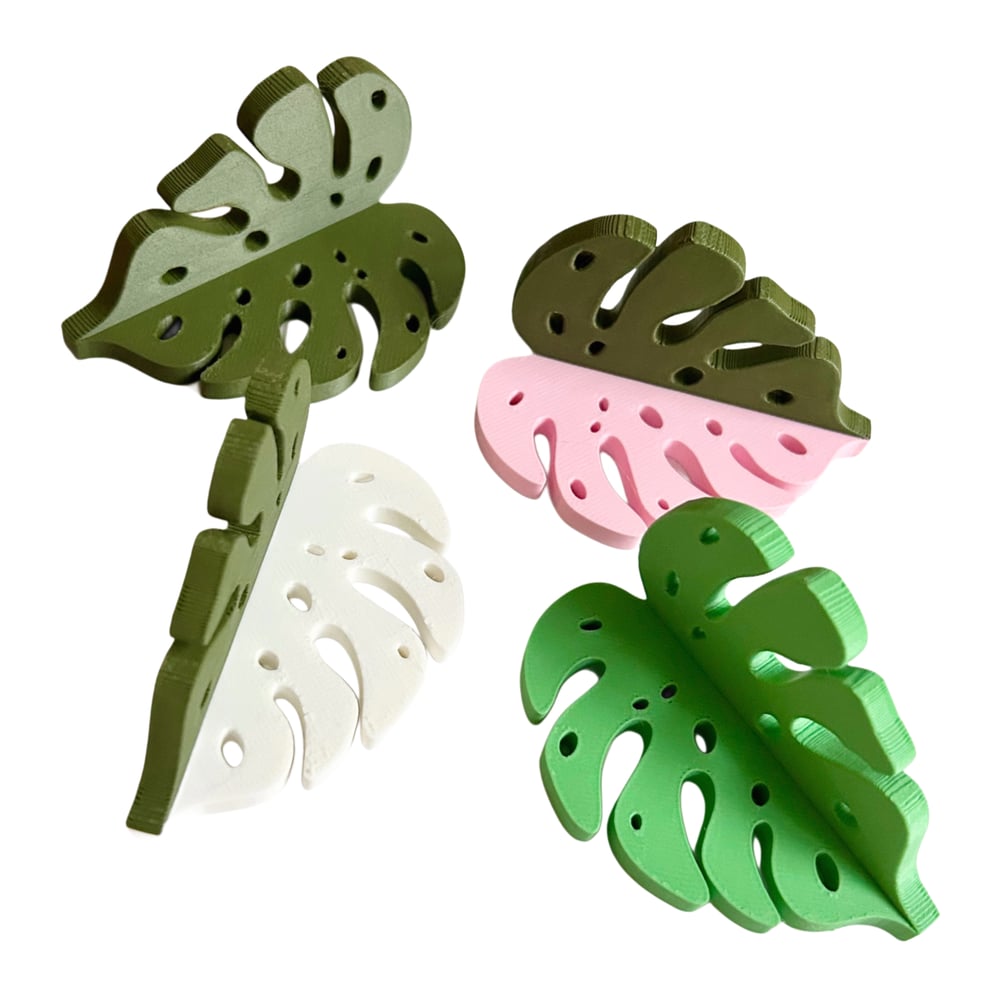 FHOS - Monstera Ledge Set