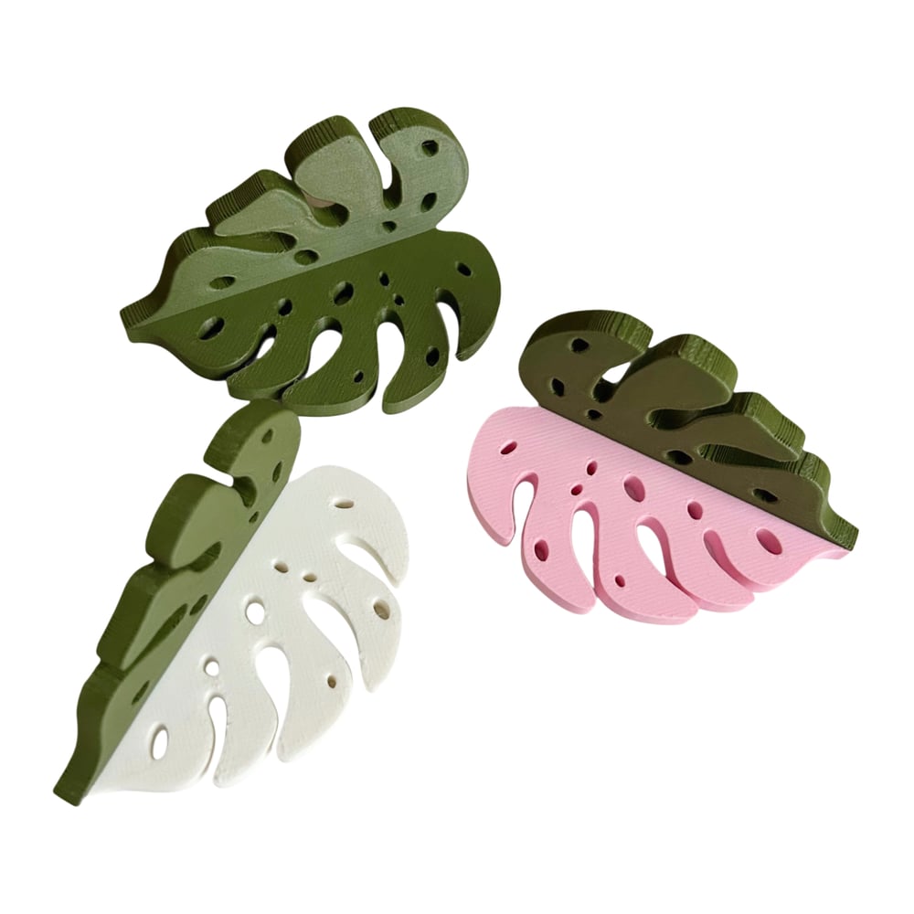 FHOS - Monstera Ledge Set