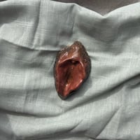 Image 3 of Genital 2 "Cossos sense mites"