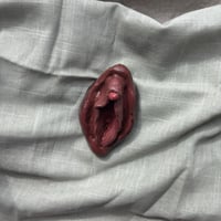 Image 3 of Genital 3 "Cossos sense mites"
