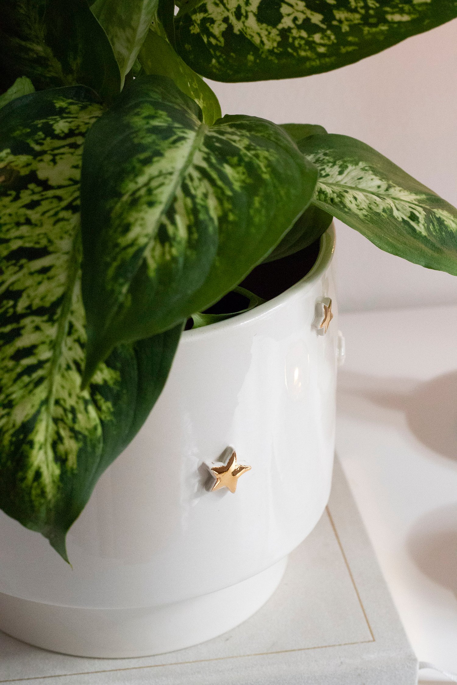 Image of ADÍLIA Plant Pot