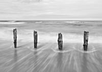 Four Posts exclusive print (monochrome)