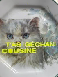 Image 2 of Assiette T'AS GÉCHAN…