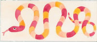 Red and Orange Snake on a Peach Background