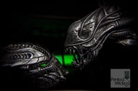 Image 1 of Predator Biomask - Venom