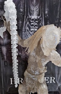 Image 1 of Predator Whip Chain