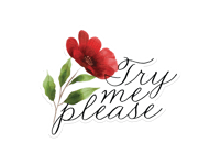 Image 2 of Try Me Please Die Cut Vinyl Sticker