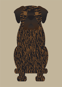 Image 2 of Cane Corso (Italian Mastiff) Collection