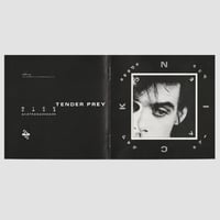 Image 9 of Nick Cave & The Bad Seeds 'Tender Prey' (1988 Japanese edition)