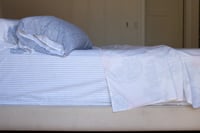 Image 4 of Big Paisley Sheet