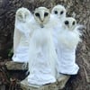 The Forest Coven